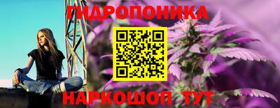 spice Бузулук