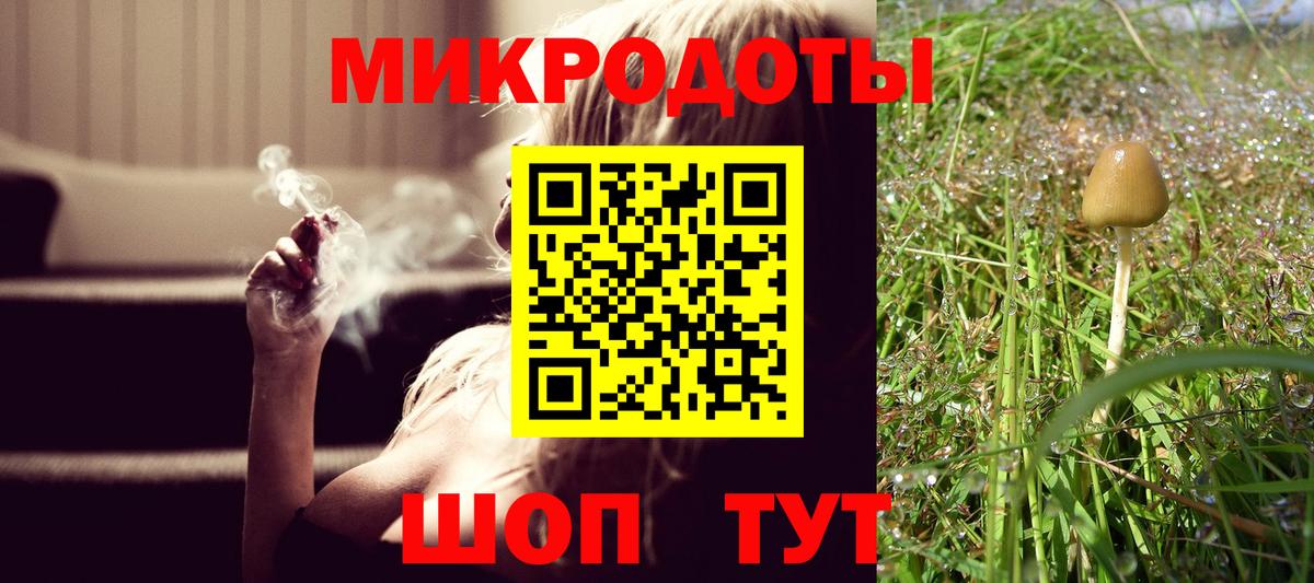 Псилоцибиновые грибы Cubensis Бугульма